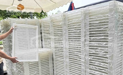 So sánh khay sấy nhựa PP và khay inox trong sản xuất thực phẩm