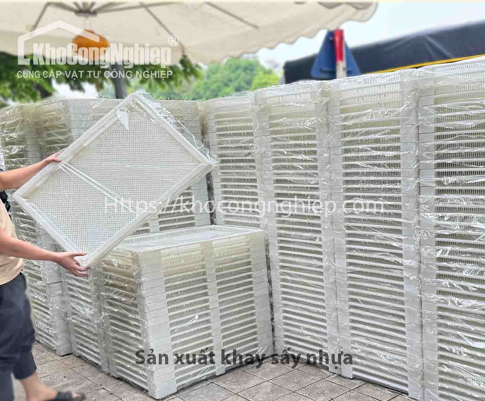 Nên dùng khay nhựa thay vì gỗ để sấy thực phẩm