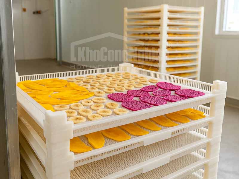 Xu hướng tiêu dùng hoa quả sấy dẻo tại Việt Nam và giải pháp tối ưu khay sấy 60x80cm cho sản xuất quy mô nhỏ đến vừa