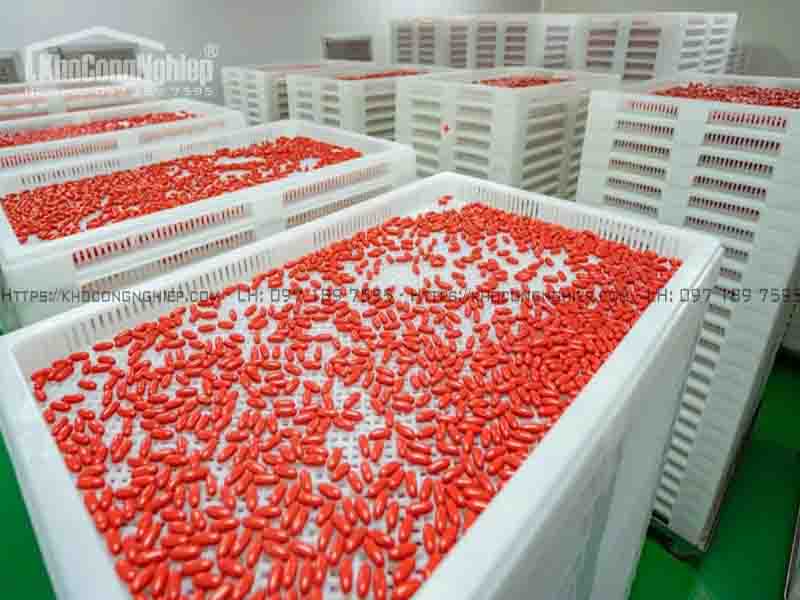 Khay nhựa sấy thuốc GMP – Giải pháp tối ưu & an toàn cho nhà máy dược phẩm