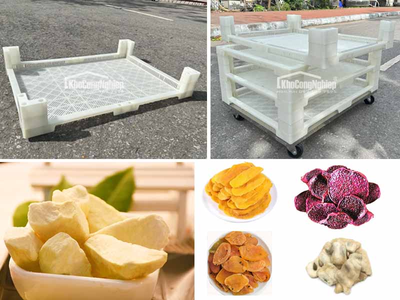 Các loại trái cây sấy hiếm và có giá trị cao trong xuất khẩu - Ứng dụng của khay sấy nhựa 60x80cm trong quy trình sấy 