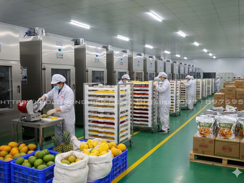 Hoa quả khô sấy lạnh đáp ứng nhu cầu cuối năm 2025 và Tết Nguyên đán 2026