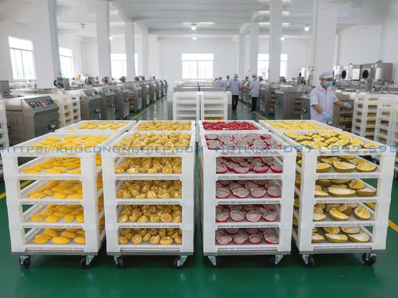 Khay nhựa sấy hoa quả, sấy xoài, sấy chuối, sấy mít, thanh long – Giải pháp tối ưu cho ngành sấy công nghiệp & xuất khẩu