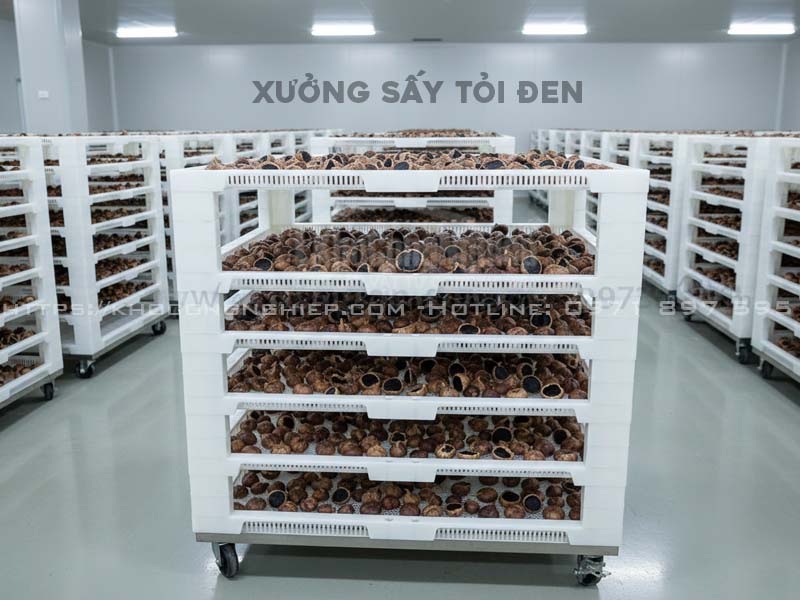 Khay nhựa sấy tỏi đen - Hiệu quả kinh tế và tối ưu chất lượng sấy