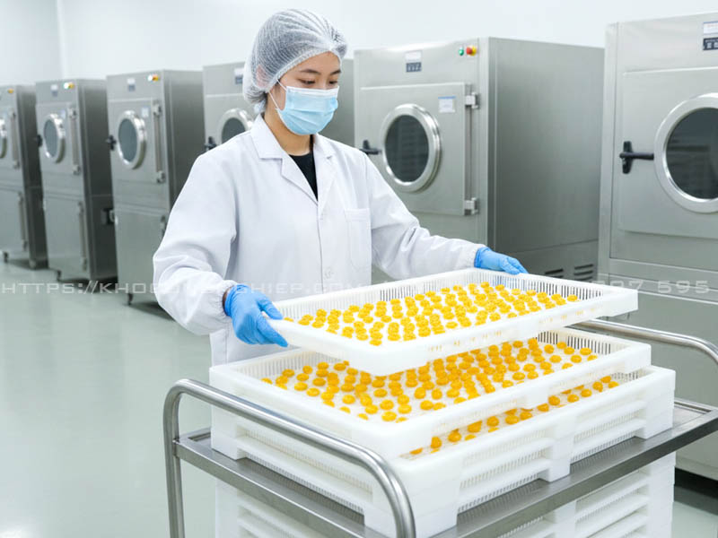 Khay sấy nhựa 76x50cm - Chuyên dụng sấy viên nang mềm, dược liệu