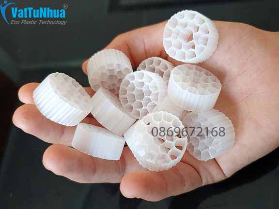 Giá Thể Vi Sinh MBBR D25