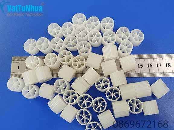 Giá Thể Vi Sinh MBBR D15