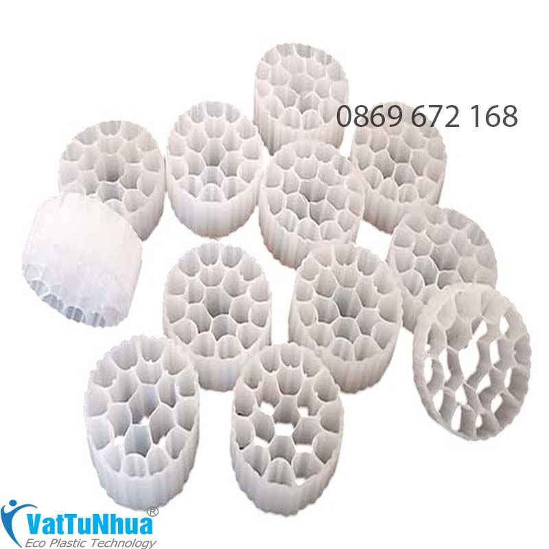 GIÁ THỂ VI SINH MBBR D25