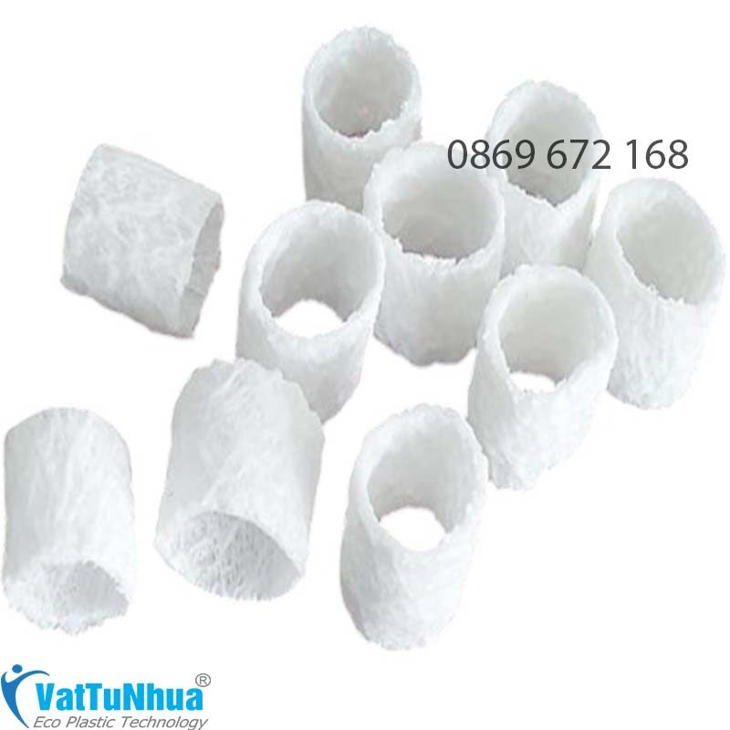 HẠT VI SINH  BIO TUPE