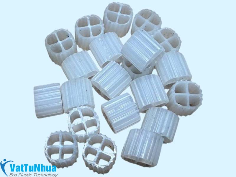 HẠT KALDNESS VI SINH D11