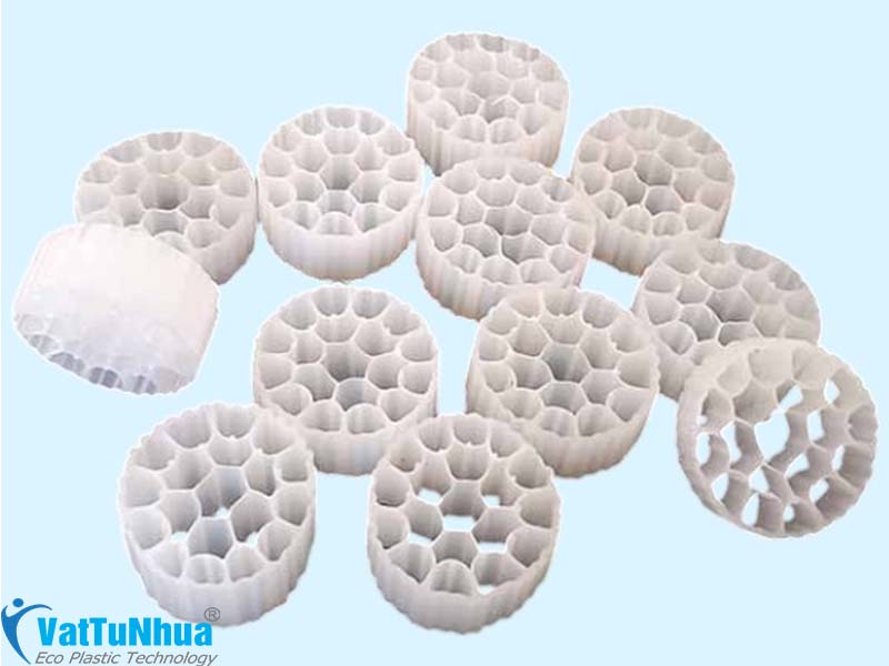 GIÁ THỂ VI SINH MBBR D25